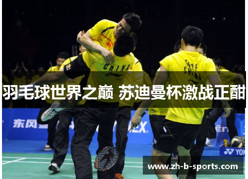 羽毛球世界之巅 苏迪曼杯激战正酣 羽毛球世界之巅 苏迪曼杯激战正酣